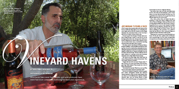 Vineyard Havens 