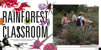 Rainforest Classroom 